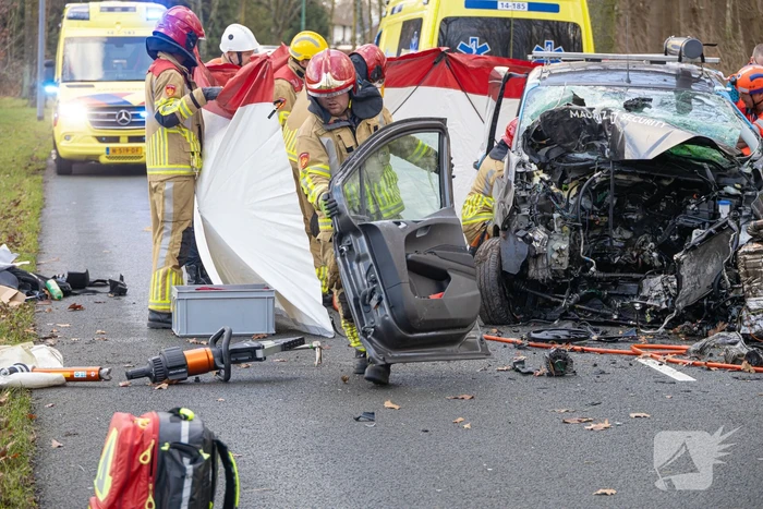 Bestuurder van bestelbus botst op boom