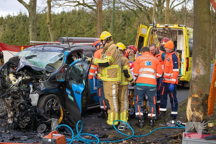 Bestuurder van bestelbus botst op boom