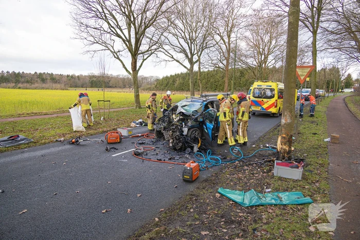 Bestuurder van bestelbus botst op boom