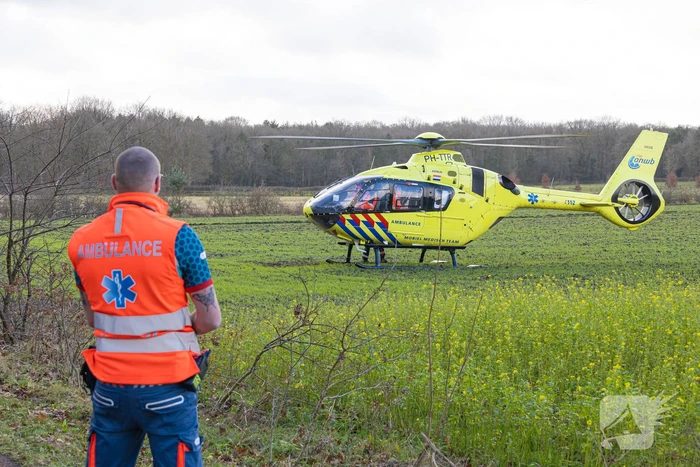 Bestuurder van bestelbus botst op boom