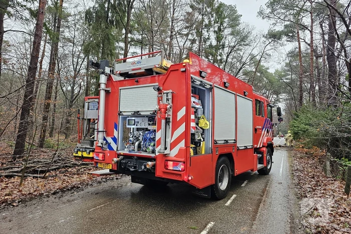 Twee bomen geveld door storm Pia