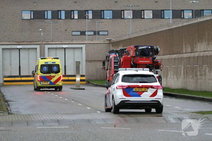 Brand in cellencomplex