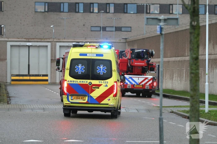 Brand in cellencomplex