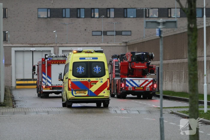 Brand in cellencomplex
