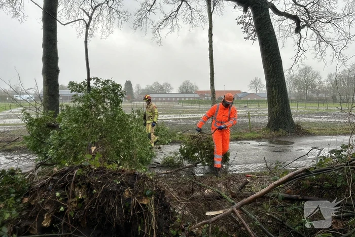 natuur laag strijp aarle-rixtel
