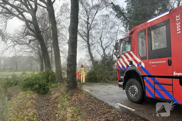 Omgevallen boom verspert weg
