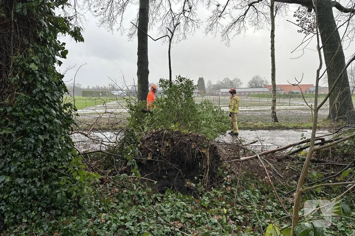 Omgevallen boom verspert weg