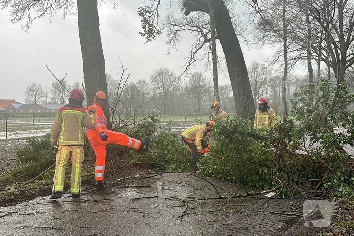 Omgevallen boom verspert weg