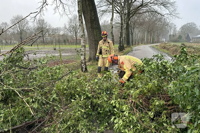 Omgevallen boom verspert weg