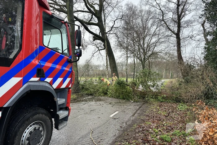 Omgevallen boom verspert weg