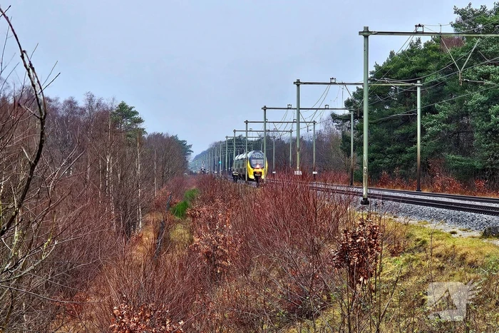 Treinverkeer gestremd door aanrijding met persoon