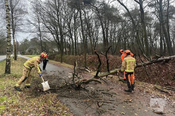 Omgewaaide boom verspert fietspad