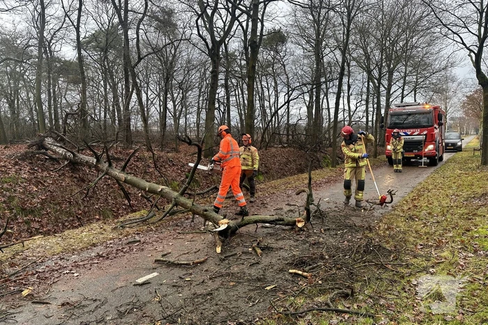 Omgewaaide boom verspert fietspad