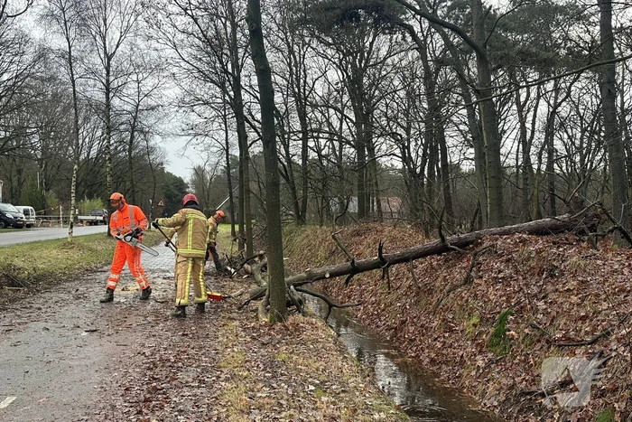 Omgewaaide boom verspert fietspad