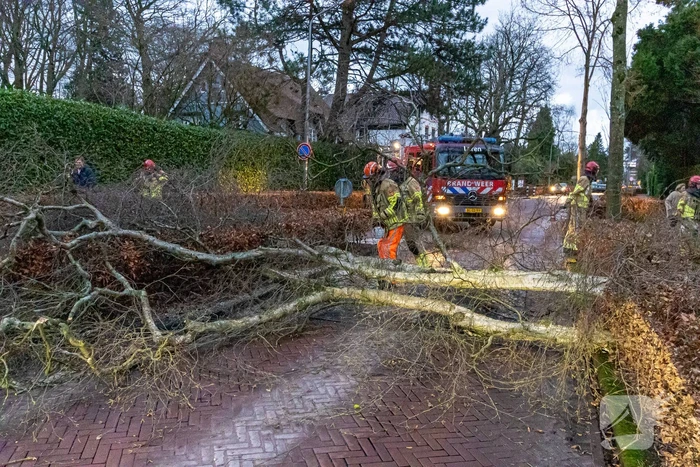 Weg afgesloten door omgevallen boom