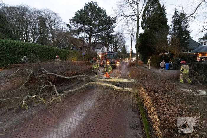 Weg afgesloten door omgevallen boom