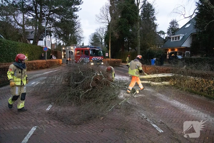 Weg afgesloten door omgevallen boom