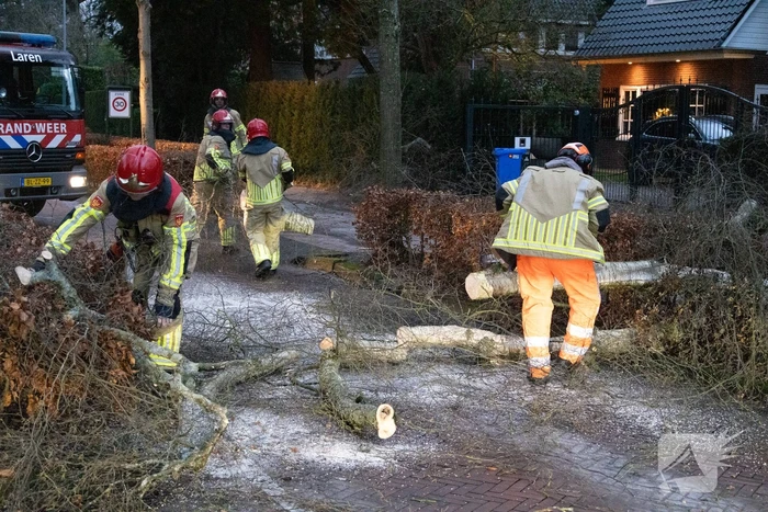 Weg afgesloten door omgevallen boom