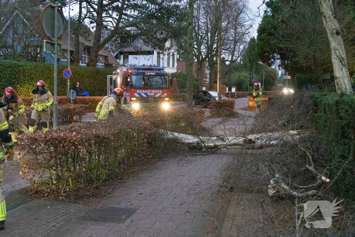 Weg afgesloten door omgevallen boom