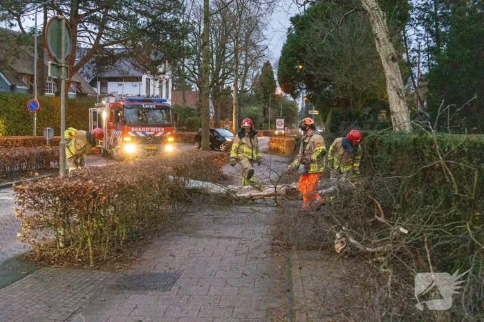 Weg afgesloten door omgevallen boom