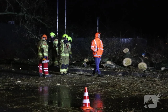 Meerdere bomen omver door storm