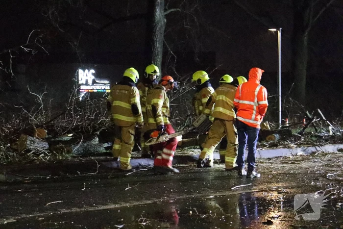 Meerdere bomen omver door storm