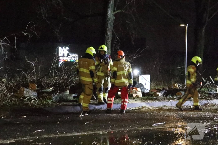 Meerdere bomen omver door storm