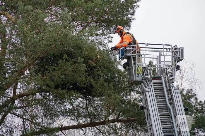 Gevaarlijk hangende tak verwijderd
