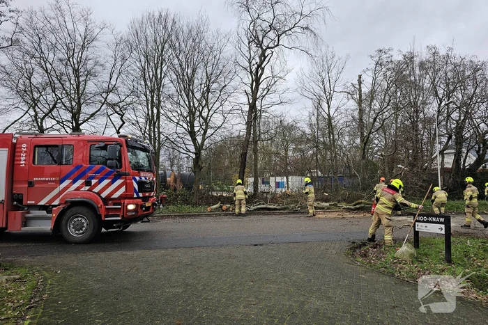 natuur droevendaalsesteeg wageningen