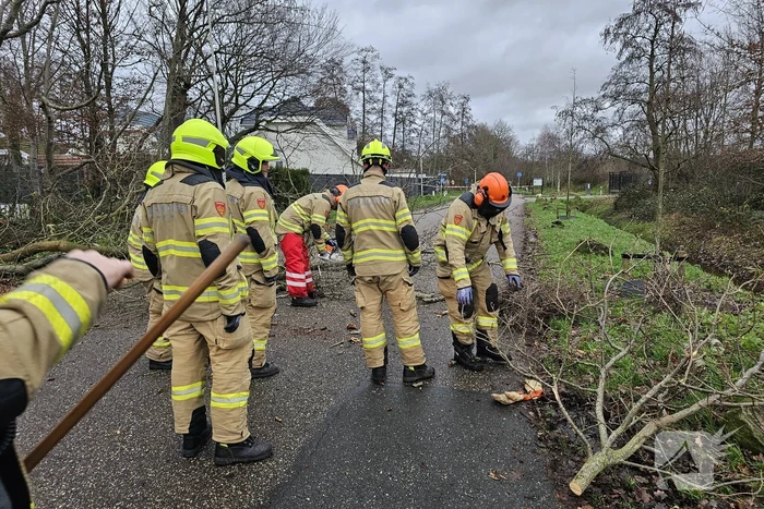 Boom dreigt op weg te vallen