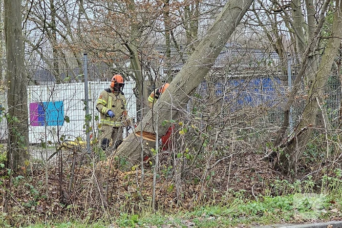 Boom dreigt op weg te vallen