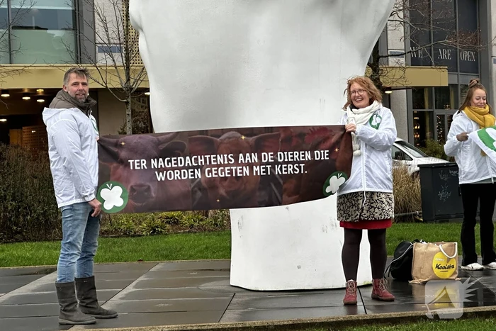 nieuws zuidersingel leeuwarden