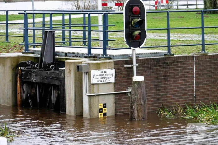 Hoogwater zet uiterwaarden van de Vecht onder water