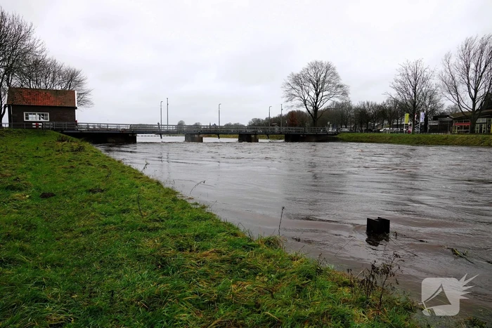Hoogwater zet uiterwaarden van de Vecht onder water