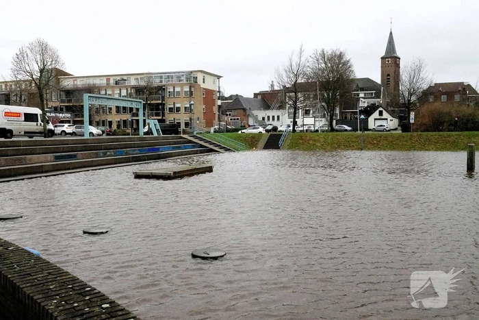 Hoogwater zet uiterwaarden van de Vecht onder water