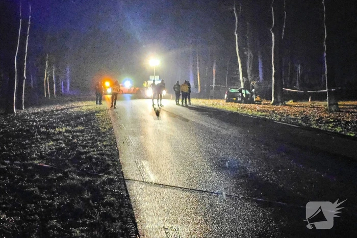 Persoon overleden bij botsing met boom