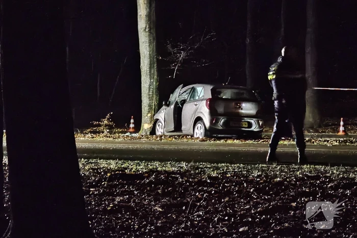 Persoon overleden bij botsing met boom