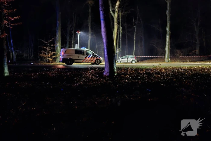 Persoon overleden bij botsing met boom