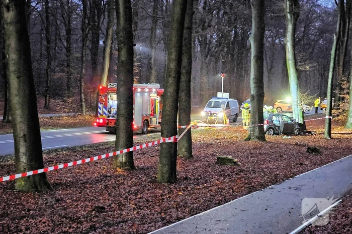 Persoon overleden bij botsing met boom