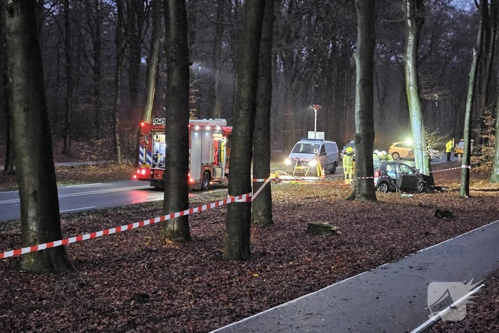 Persoon overleden bij botsing met boom