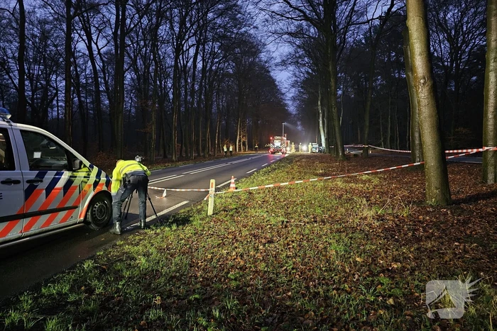 Persoon overleden bij botsing met boom