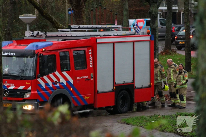 Boom waait tegen schuur aan