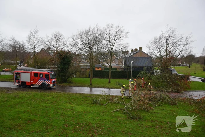 natuur stapelshofweg zierikzee