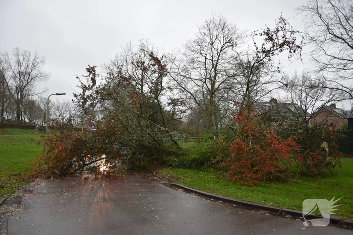 Omgewaaide boom verspert weg