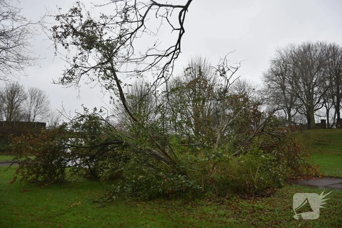 Omgewaaide boom verspert weg