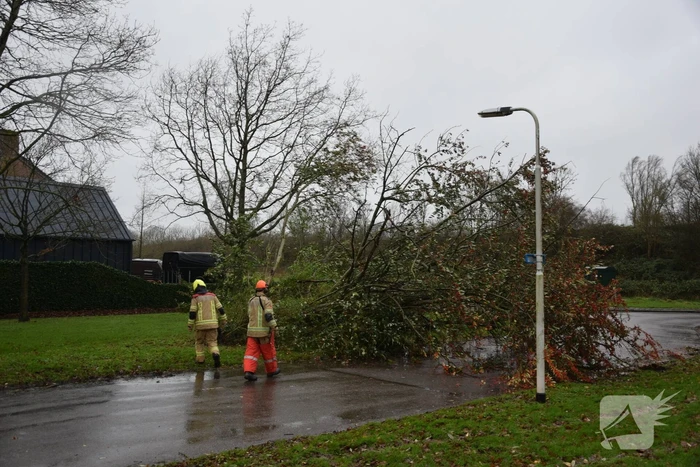 Omgewaaide boom verspert weg