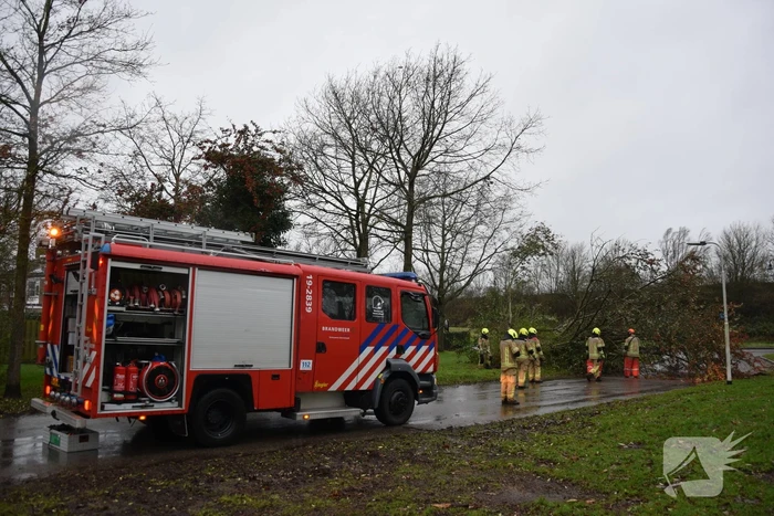 Omgewaaide boom verspert weg