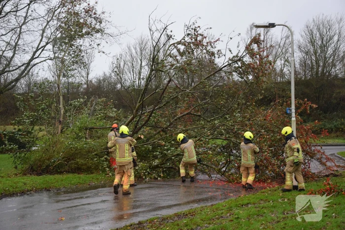 Omgewaaide boom verspert weg