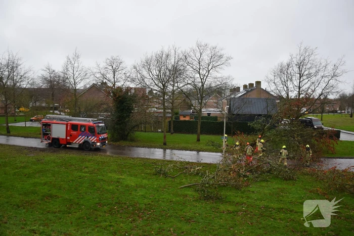Omgewaaide boom verspert weg