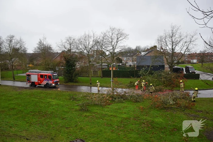 Omgewaaide boom verspert weg